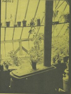 How to Build a Live-In Solar Greenhouse Image